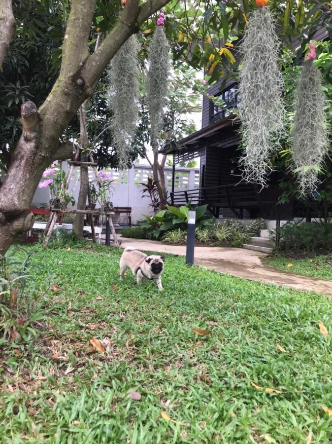 Baansuanklaiklungbangkrachao บ้านสวนใกล้กรุงบางกะเจ้า Phra Pradaeng エクステリア 写真